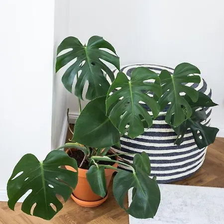 Gæstehus Design Twenty 20 Poděbrady